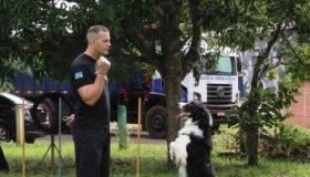 Cães reforçam trabalho da Polícia Militar contra o tráfico de drogas e...