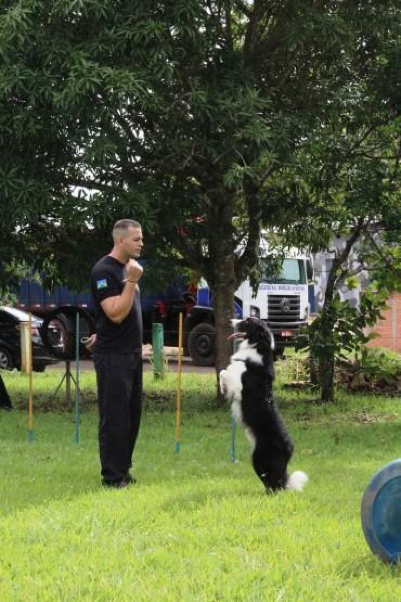 Cães reforçam trabalho da Polícia Militar contra o tráfico de drogas e ações de patrulhamento em Cacoal