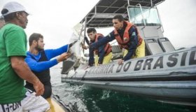 Encontrados destroços principais do Avião de Robson Guimarães, da BIGSAL