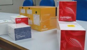 Exames de dengue, chikungunya e zika têm resultados em até sete dias em...