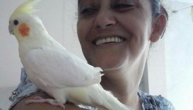 Marido mata esposa e enterra em sua própria propriedade, em Nova Brasilândia