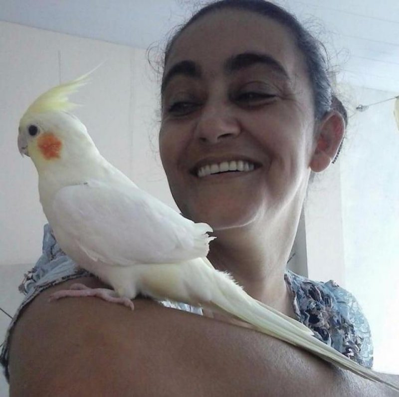 Marido mata esposa e enterra em sua própria propriedade, em Nova Brasilândia