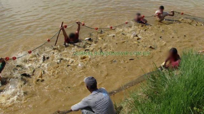 Peixes são retirados às pressas de fazenda atacada por cangaceiros, em Rondônia