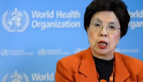 Zika Virus: OMS declara emergência internacional em saúde pública