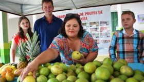 Agroindústria de polpa de frutas recebe certificação e sai da informalidade...