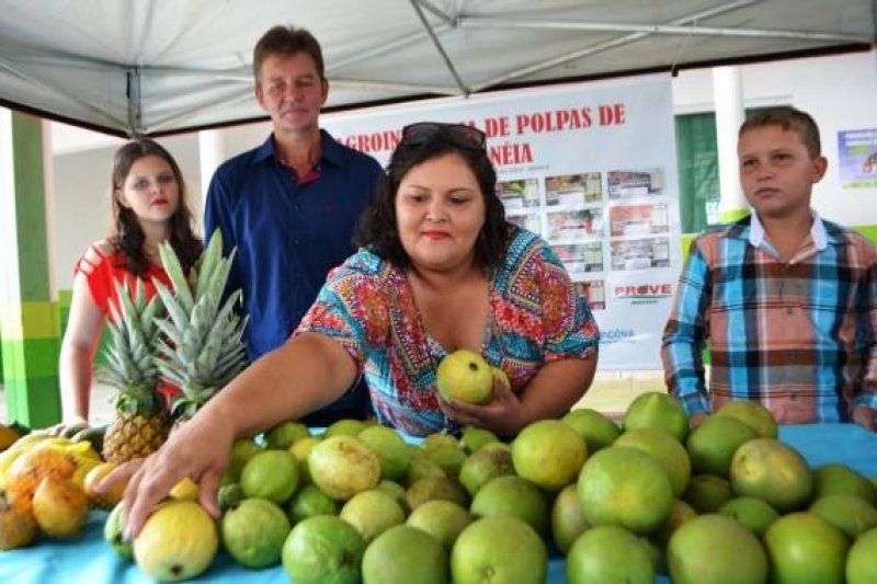 Agroindústria de polpa de frutas recebe certificação e sai da informalidade em Santa Luzia do Oeste