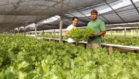 Com Banco do Povo, microempreendedores aumentam produção em Rolim de Moura