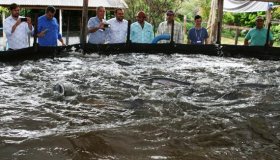 Comitiva de Mato Grosso quer conhecer como Rondônia se tornou maior produtor...