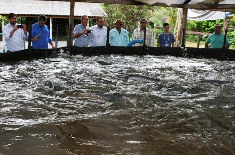 Comitiva de Mato Grosso quer conhecer como Rondônia se tornou maior produtor de peixe do País