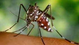Rolim e mais 12 cidades de Rondônia receberão atenção diferenciada no...