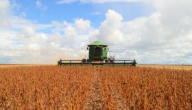 Rondônia já colheu 60% da área plantada de soja; produção é estimada em...