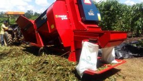 Cacoal inova na produção do café com colheita mecanizada