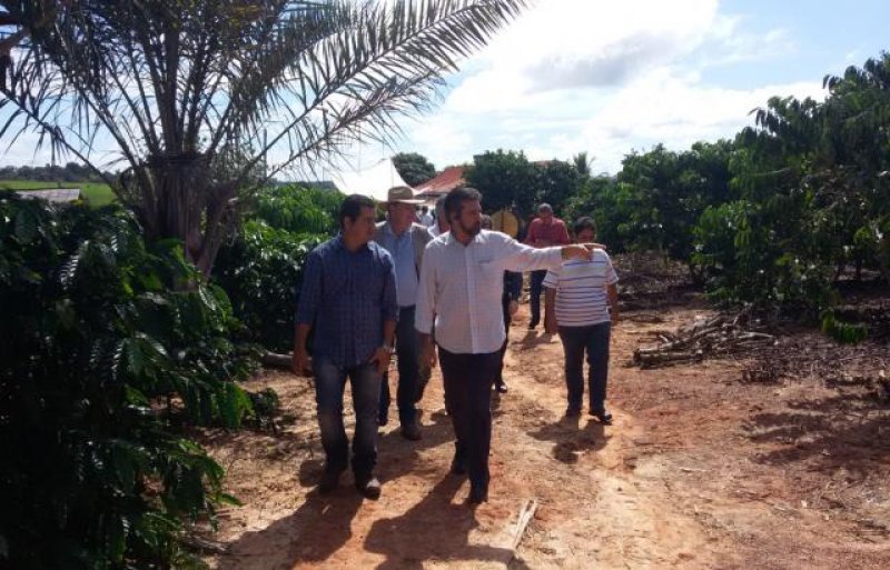 Senador Raupp participa de Dia de Campo com cafeicultores de Alvorada Do Oeste