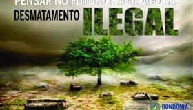 Campanhas contra queimadas e destamentamento ilegal serão lançadas na 5ª...
