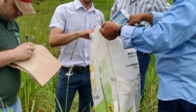 Embrapa Rondônia fortalece o Sistema de Produção de Leite do estado com...