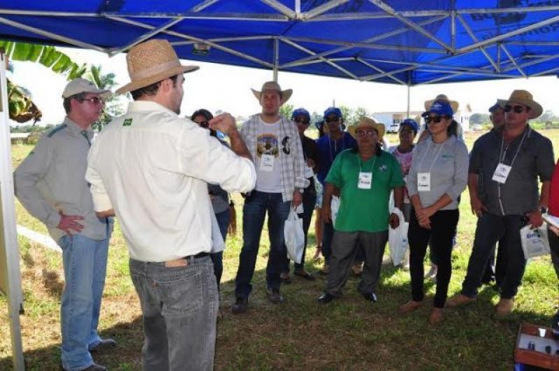 Produtores Rurais participam do dia de campo de banana realizado pela ESBR e Embrapa