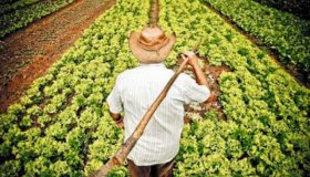 Prorrogado: Pequenos produtores poderão fazer CAR até maio de 2017