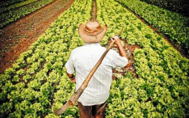 Prorrogado: Pequenos produtores poderão fazer CAR até maio de 2017