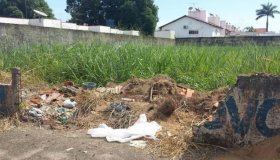 Casos de Zika vírus permanecem altos em Porto Velho; mutirão de combate...