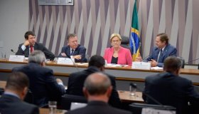 Depois do feijão, governo pode autorizar importação de milho para reduzir...