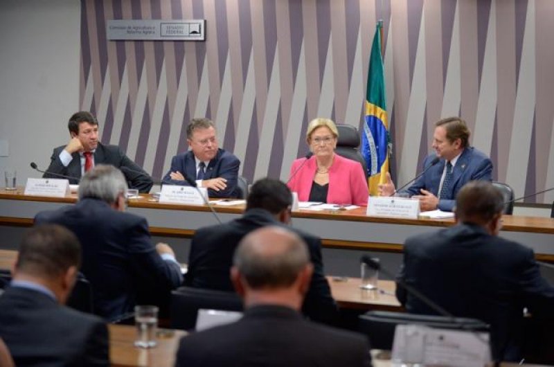 Depois do feijão, governo pode autorizar importação de milho para reduzir preço