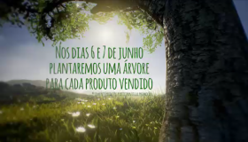 Gazin realiza ação ambiental que conscientizará clientes e gerará plantio...
