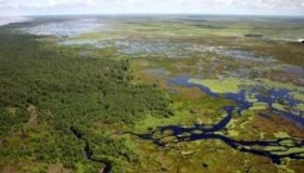 Setur integra conselho do Parque Nacional Mapinguari