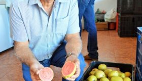 Agricultura familiar consolida Rondônia como um dos maiores produtores da...