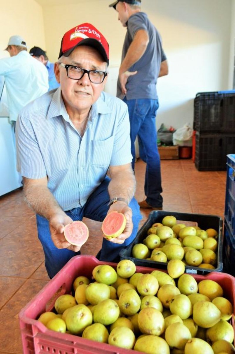 Agricultura familiar consolida Rondônia como um dos maiores produtores da região Norte