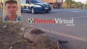 Pimenta Bueno: Morador de Rolim de Moura perde a vida após bater em capivara