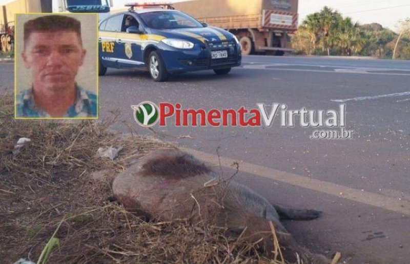 Pimenta Bueno: Morador de Rolim de Moura perde a vida após bater em capivara