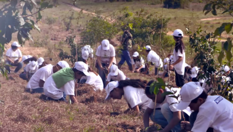 Plantando o futuro: empresa, clientes e alunos de uma escola pública