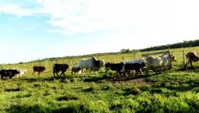 Rondônia inicia regularização de 1.500 propriedades na região Sul