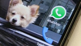 WhatsApp: Justiça do RJ manda bloquear aplicativo em todo o Brasil