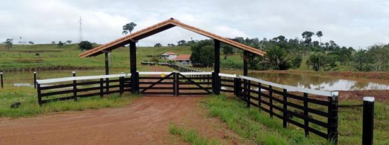Classificados: Vende-se este sítio na Rodovia 479