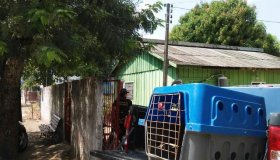 Em Cacoal acusado de tráfico de drogas e receptação é preso pela PM