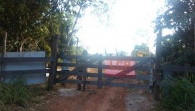 Invasores garantem que deixam fazendas na BR-429 na sexta-feira
