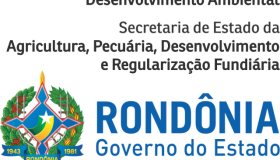 Multas ambientais podem ser pagas com anistia de até 95% durante o Mutirão...