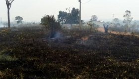 Incêndio em pastagem assusta moradores em Alta Floresta do Oeste