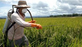 Agricultores de Rondônia utilizam cerca de 36 toneladas de agrotóxicos por ano