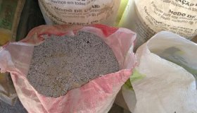 Bovinos são abatidos em Costa Marques por ingerirem alimento proibido