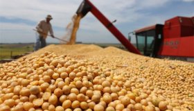 Brasil deve colher entre 210,5 e 214,8 milhões de toneladas para safra...