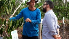 Cafeicultura de Rondônia surpreende analista do Rabobank