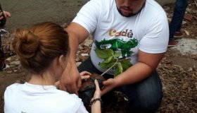 Estudantes de Rolim de Moura realizam ação de arborização com a Ecoporé