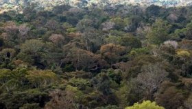 Incra RO fiscaliza planos de manejo em reservas florestais de assentamentos