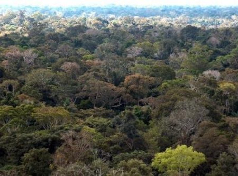 Incra RO fiscaliza planos de manejo em reservas florestais de assentamentos