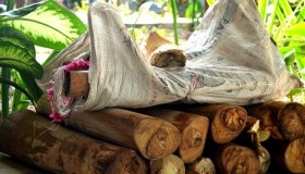 Vilhena: Índios são flagrados transportando palmito extraído de forma ilegal