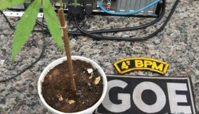 Goe aborda suspeitos e localiza um cigarro de maconha em Cacoal