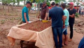 Agricultores buscam tecnologia para resgate da cafeicultura em Ministro...