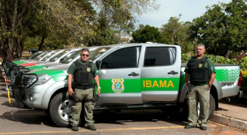 IBAMA abre processo seletivo em Rondonia; veja edital